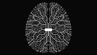 Illustration of the connections in the brain that neurofeedback therapy can strengthen