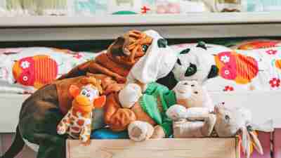 1204157688 - Donation box with kid toys - stock photo - clutter - declutter