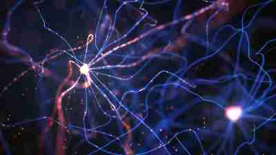 Neurons Electrical Pulses